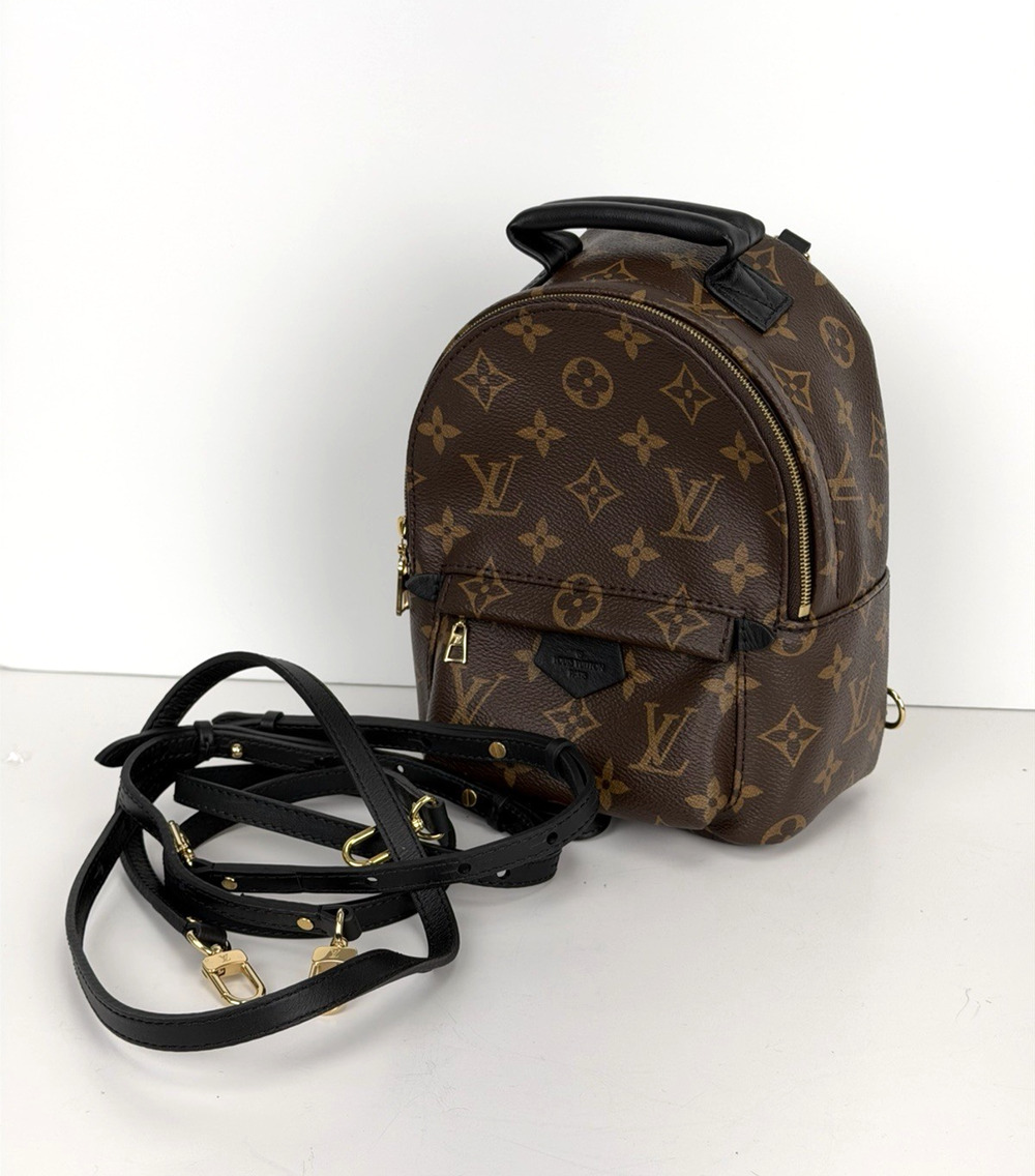 Louis Vuitton Palm Springs Mini Backpack Brown LV Monogram Coated Canvas NFC C-4